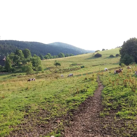 House Near Willingen With Sauna, Cleaning Included Feriehus Medebach