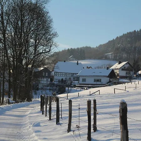 House Near Willingen With Sauna, Cleaning Included *