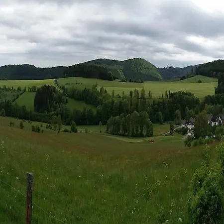 Vakantiehuis House Near Willingen With Sauna, Cleaning Included *